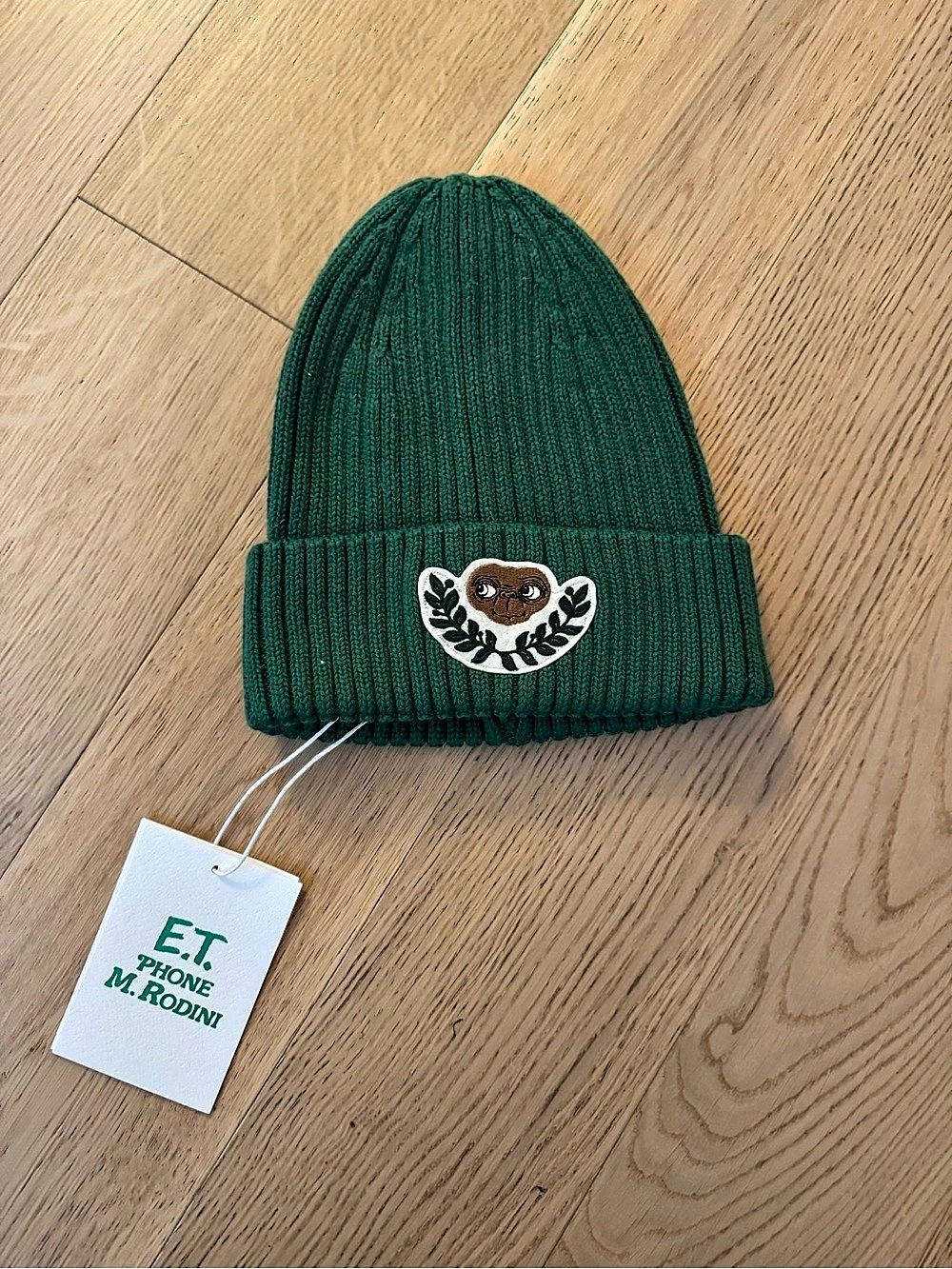 Mini Rodini ET Beanie in Green NWT